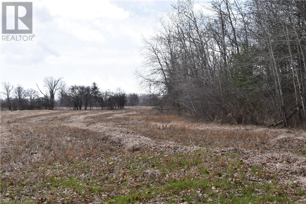 6225 Vaughn Road, Smithville, Ontario L0R 1Y0 - Photo 19 - XH4196578
