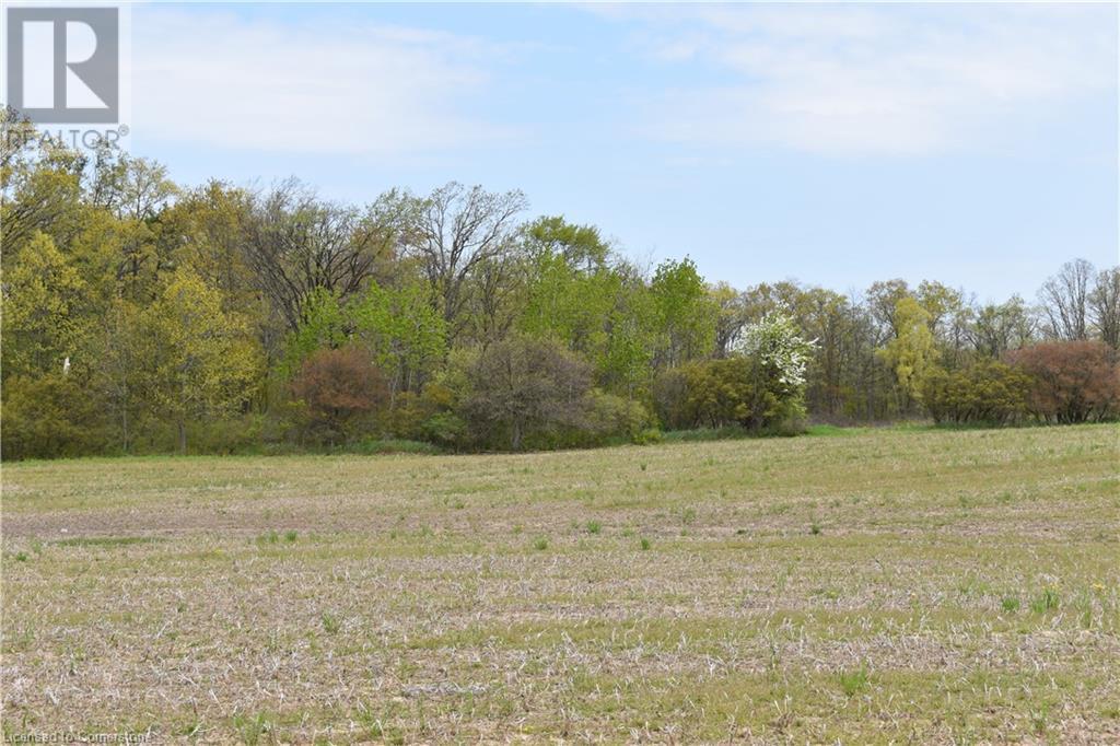 6225 Vaughn Road, Smithville, Ontario L0R 1Y0 - Photo 22 - XH4196578