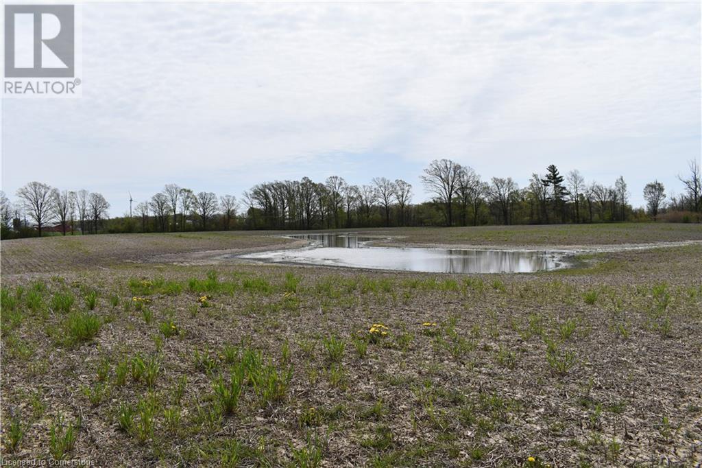 6225 Vaughn Road, Smithville, Ontario L0R 1Y0 - Photo 34 - XH4196578