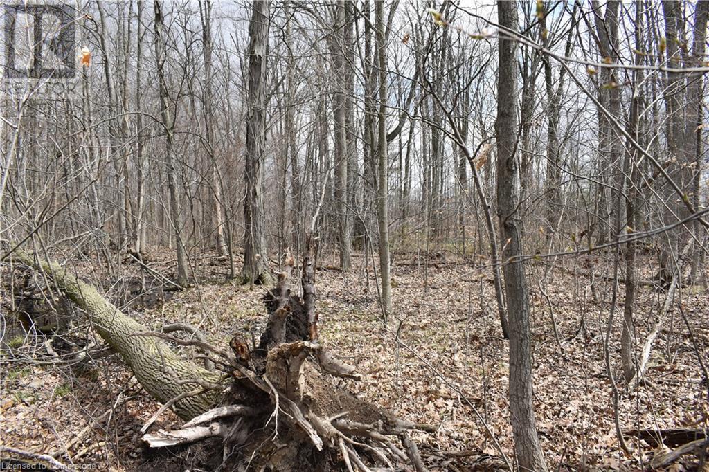 6225 Vaughn Road, Smithville, Ontario L0R 1Y0 - Photo 17 - XH4196578