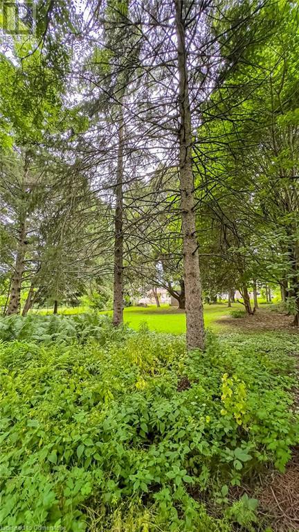 4 Wesite Avenue, Flamborough, Ontario L9H 5M2 - Photo 37 - XH4198295