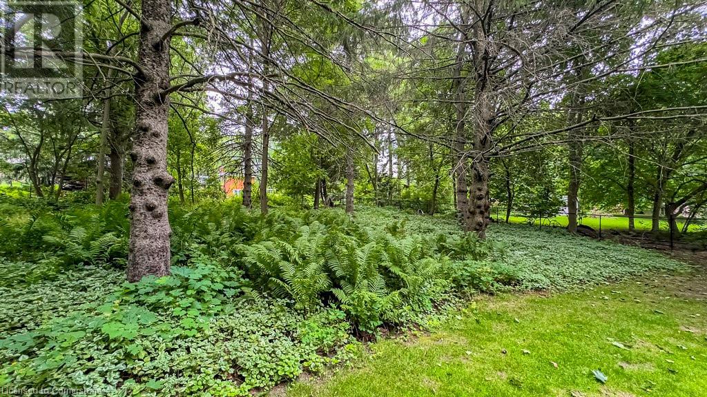 4 Wesite Avenue, Flamborough, Ontario L9H 5M2 - Photo 36 - XH4198295