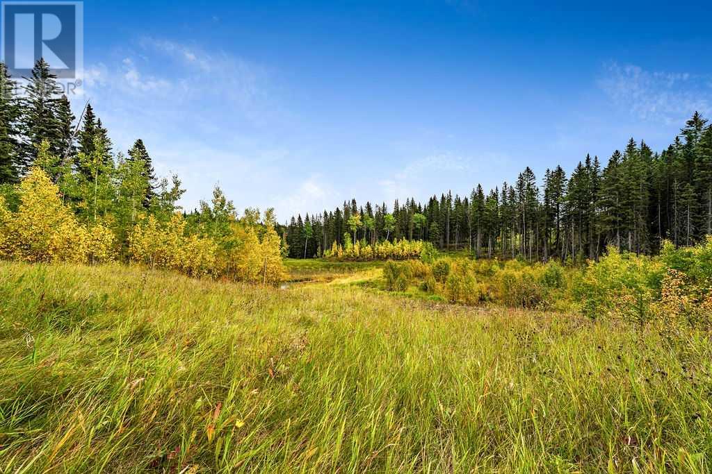 64 Hawk's Landing Drive, Rural Foothills County, Alberta  T0L 1W0 - Photo 8 - A2079106