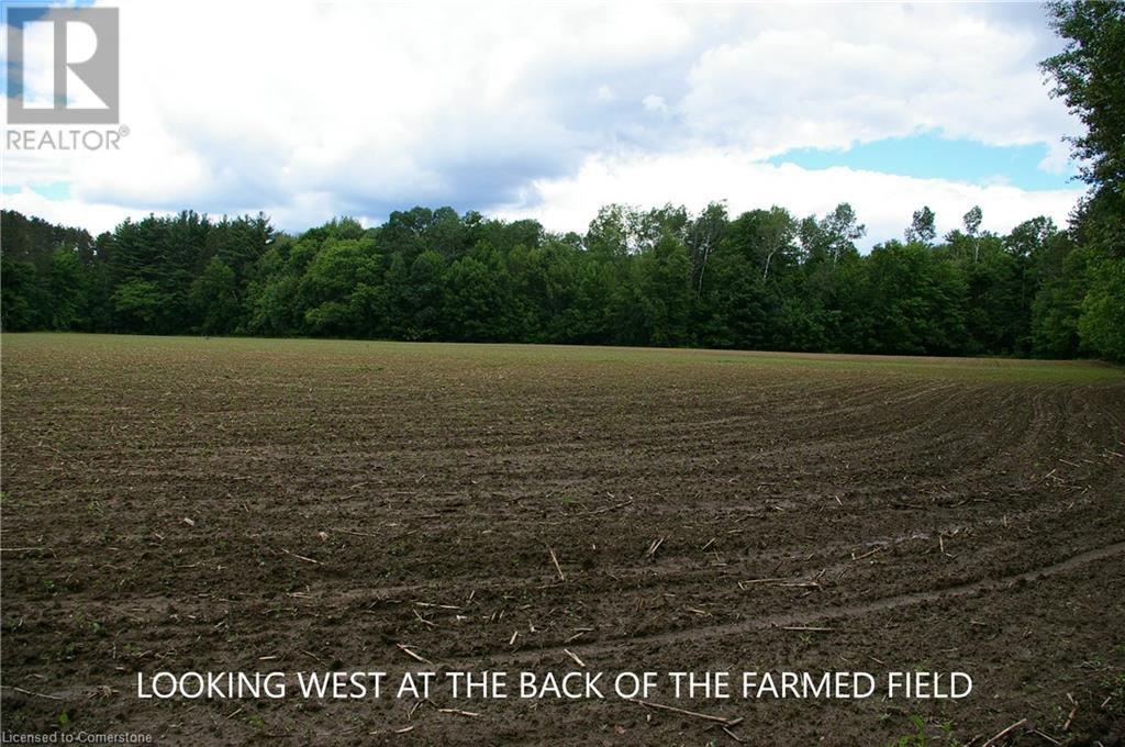 0 Old Montreal Road, Ottawa, Ontario  K4C 1C8 - Photo 16 - XH4199432