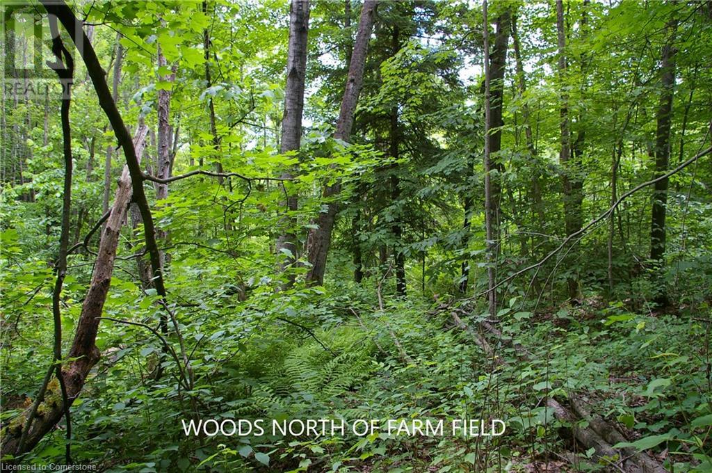 0 Old Montreal Road, Ottawa, Ontario  K4C 1C8 - Photo 19 - XH4199432