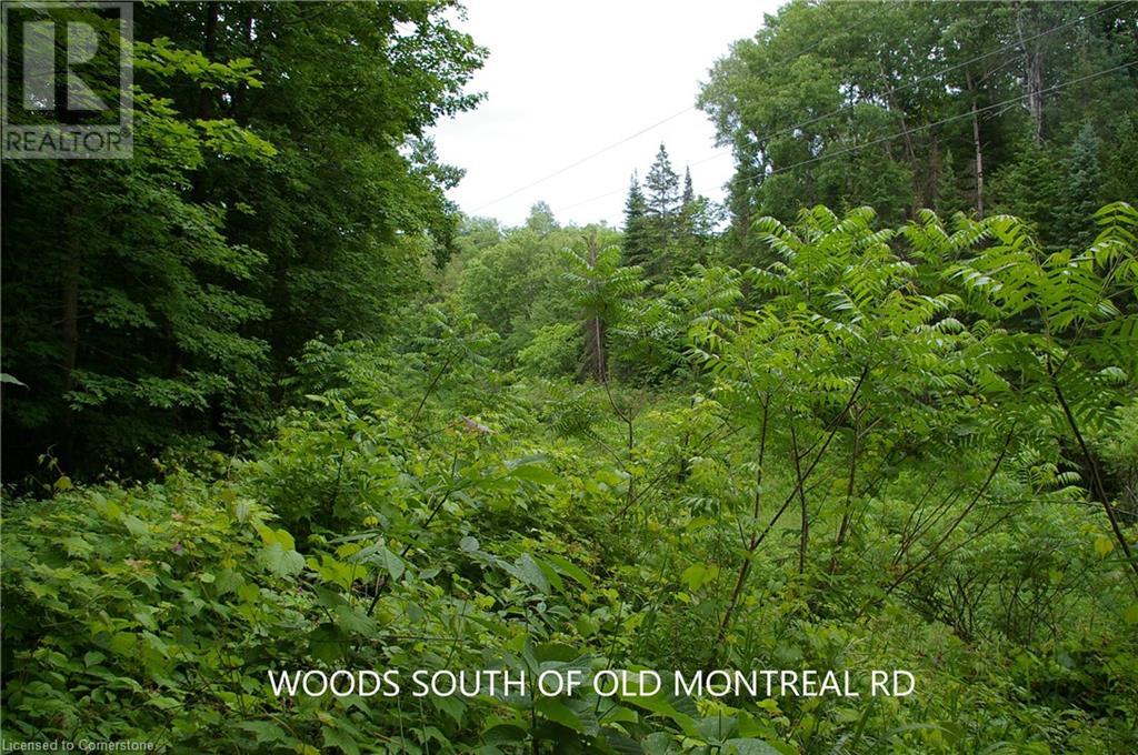 0 Old Montreal Road, Ottawa, Ontario  K4C 1C8 - Photo 11 - XH4199432