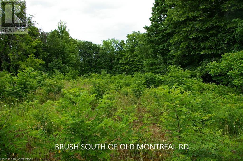 0 Old Montreal Road, Ottawa, Ontario  K4C 1C8 - Photo 13 - XH4199432