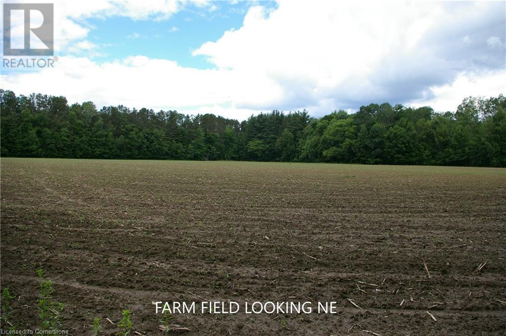 0 Old Montreal Road, Ottawa, Ontario  K4C 1C8 - Photo 18 - XH4199432