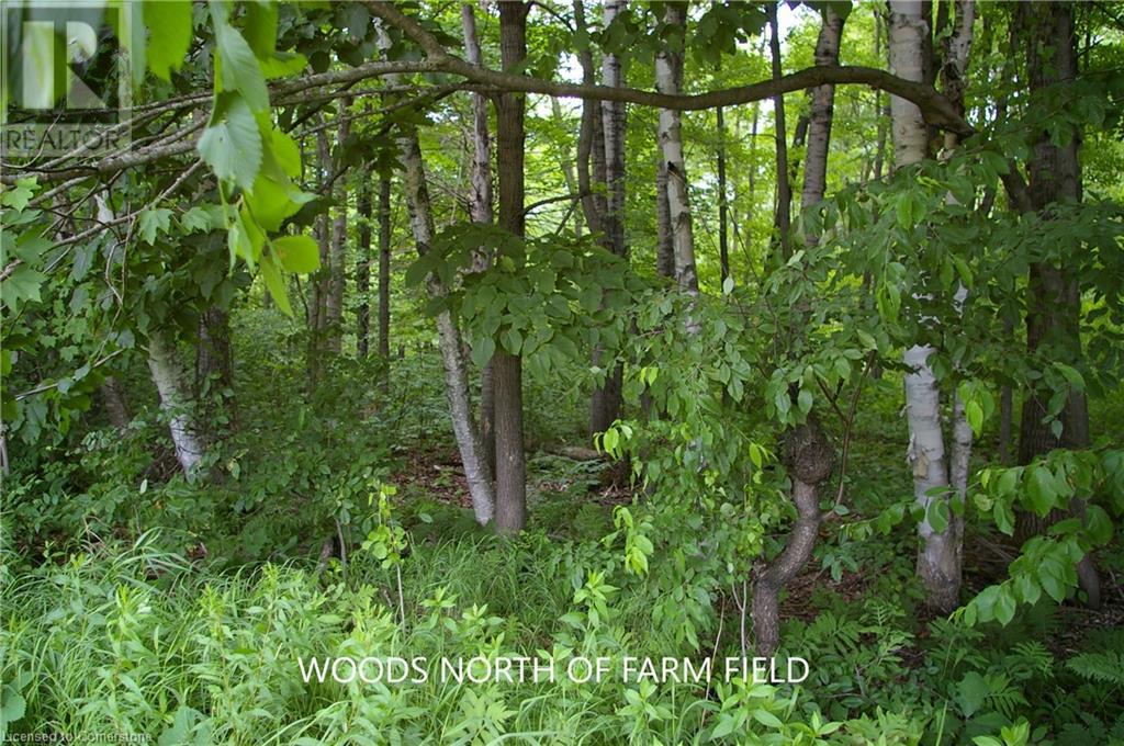 0 Old Montreal Road, Ottawa, Ontario  K4C 1C8 - Photo 20 - XH4199432