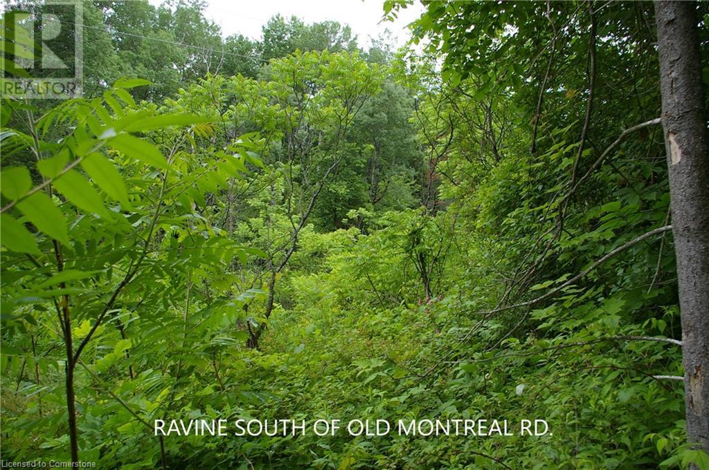 0 Old Montreal Road, Ottawa, Ontario  K4C 1C8 - Photo 12 - XH4199432