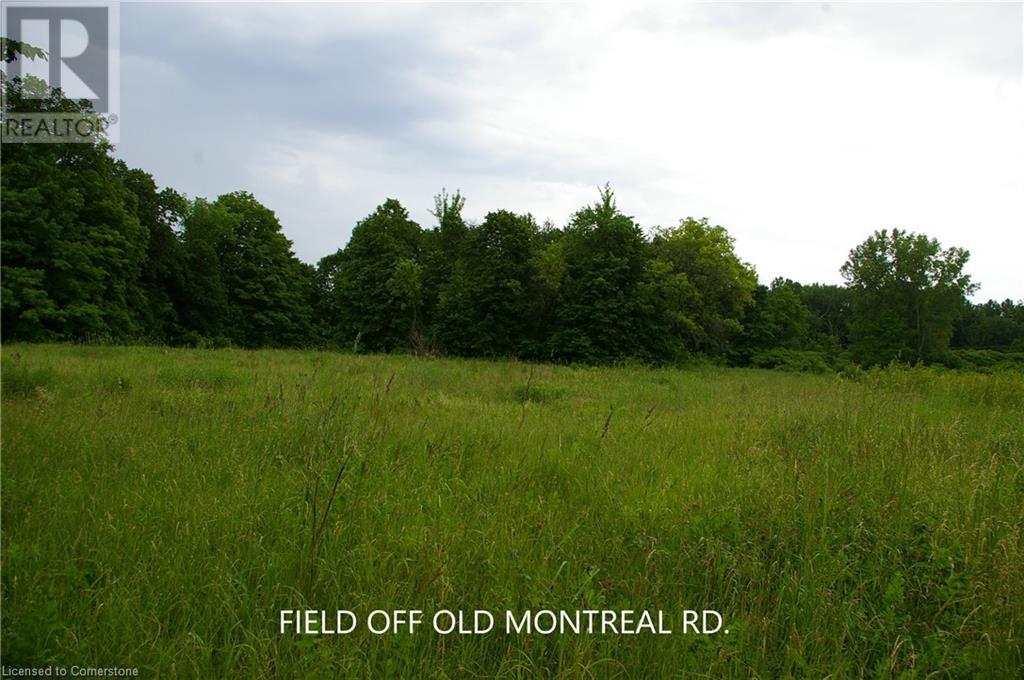 0 Old Montreal Road, Ottawa, Ontario  K4C 1C8 - Photo 9 - XH4199432