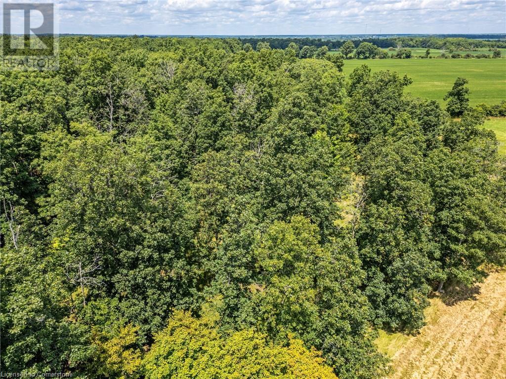 Pt Lt 8 Link Road, Cayuga, Ontario  N0A 1E0 - Photo 19 - XH4199443