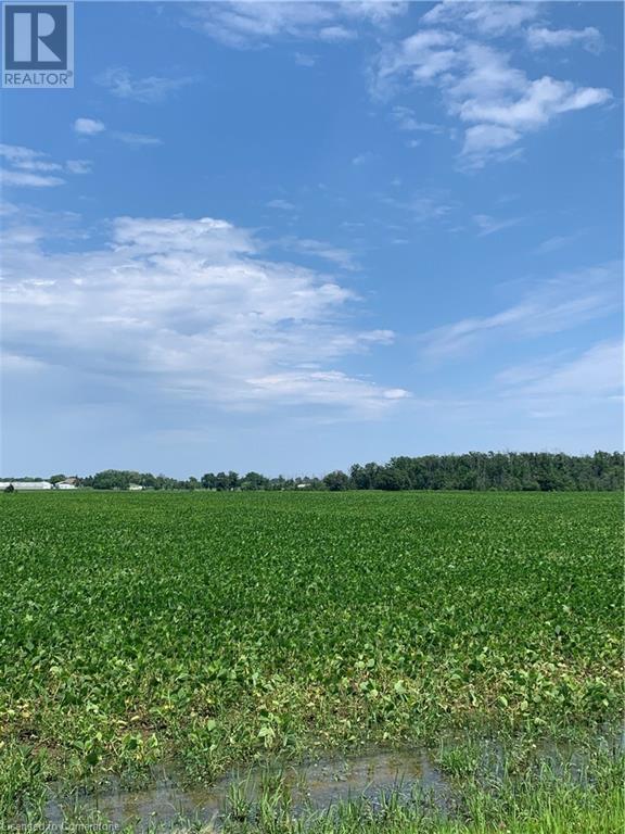 0 Alway Road, Grimsby, Ontario L3M 4E7 - Photo 12 - XH4199945