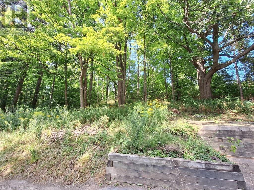 191 Mill Street S, Waterdown, Ontario  L0R 2H0 - Photo 9 - XH4201298