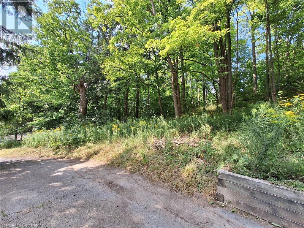 191 Mill Street S, Waterdown, Ontario  L0R 2H0 - Photo 10 - XH4201298