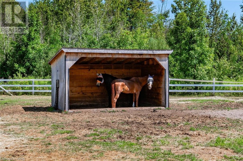 10635 First Line, Moffat, Ontario  L0P 1J0 - Photo 50 - XH4202751