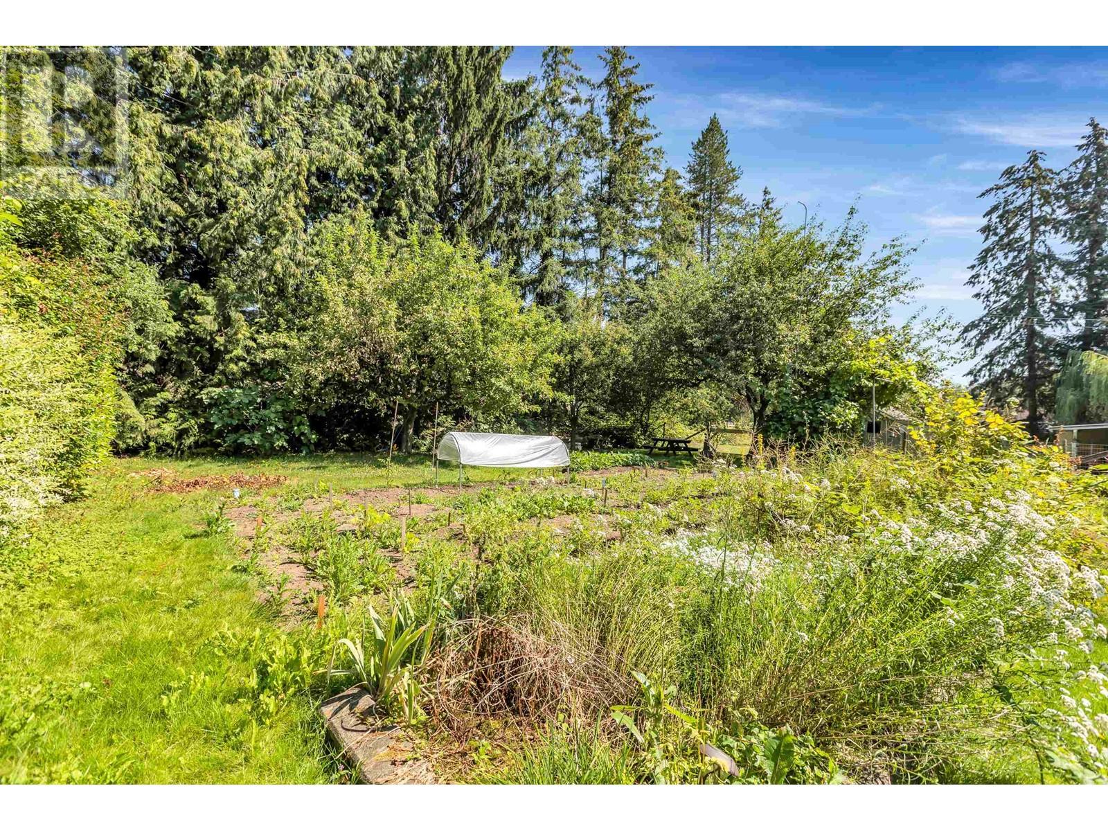 11804 232 Street, Maple Ridge, British Columbia  V2X 6S9 - Photo 38 - R2926721