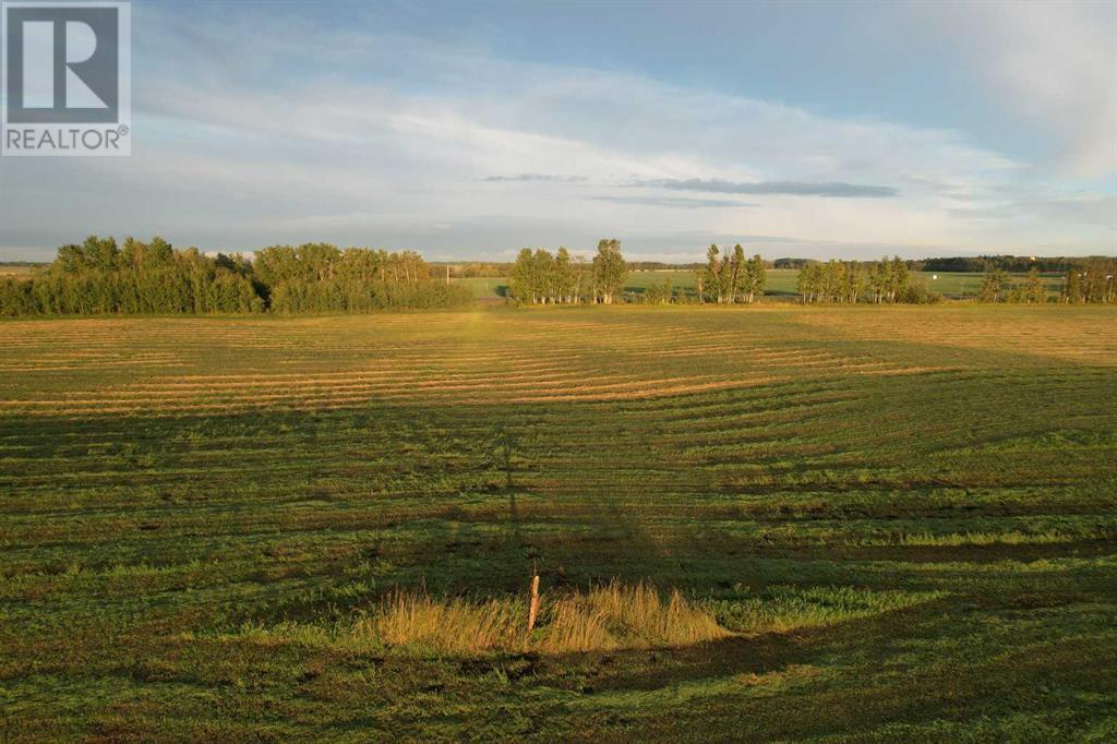 On Wall Street Road, Condor, Alberta  T0M 0P0 - Photo 15 - A2166151