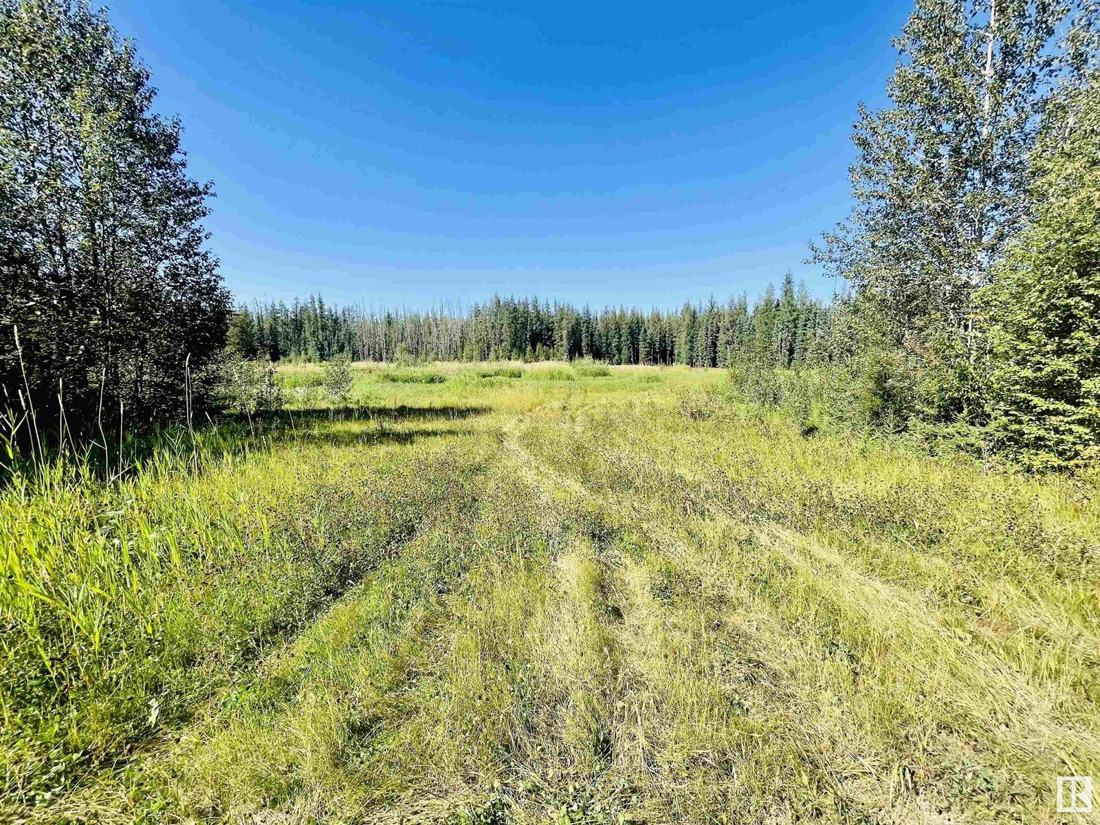 Sw 4-49-8 W5m, Rural Brazeau County, Alberta  T7A 1S3 - Photo 4 - E4392306