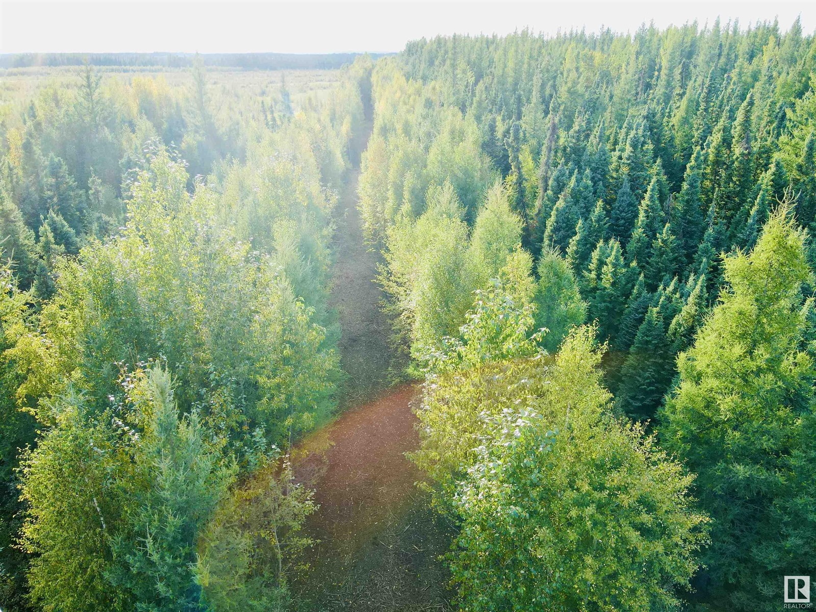 Sw 4-49-8 W5m, Rural Brazeau County, Alberta  T7A 1S3 - Photo 18 - E4392306