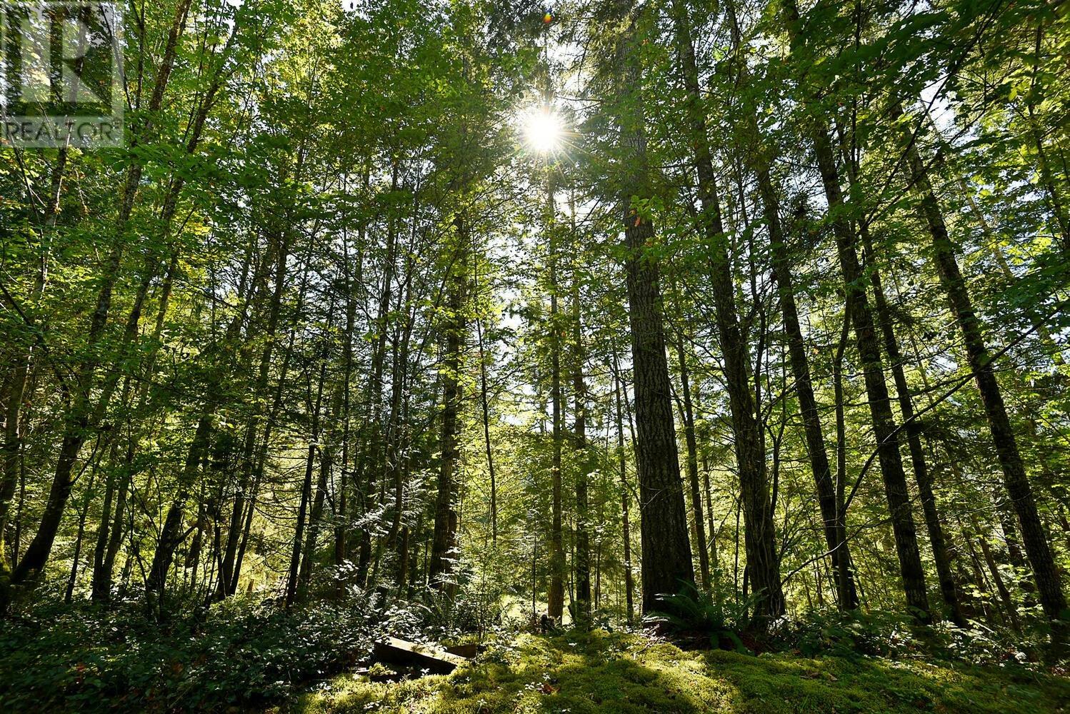 13246 Sunshine Coast Highway, Madeira Park, British Columbia  V0N 2H1 - Photo 14 - R2926927