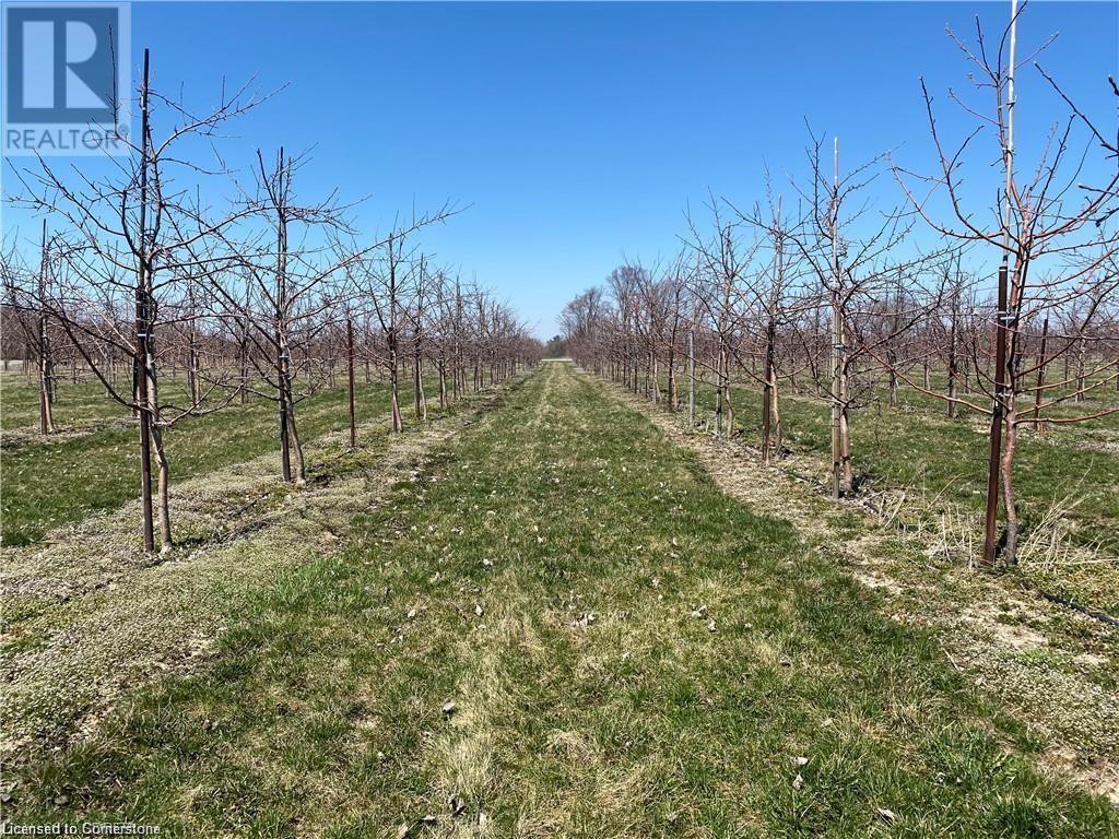 1465 #6 Highway, Port Dover, Ontario  N0A 1N8 - Photo 10 - 40648448