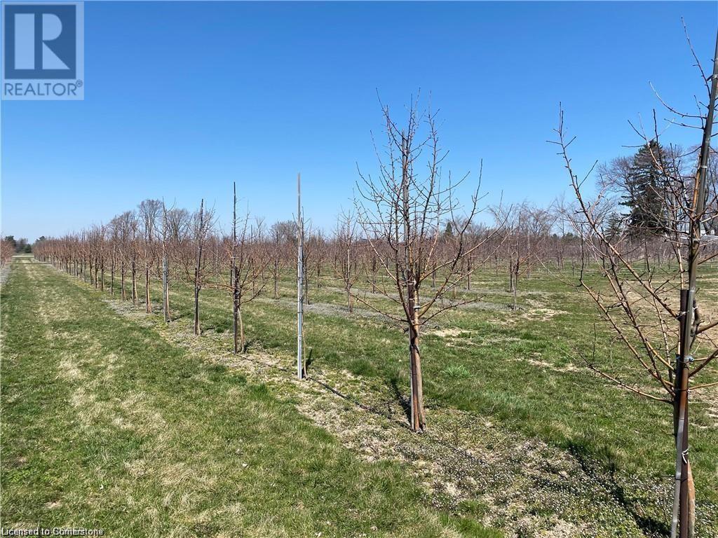 1465 #6 Highway, Port Dover, Ontario  N0A 1N8 - Photo 11 - 40648371