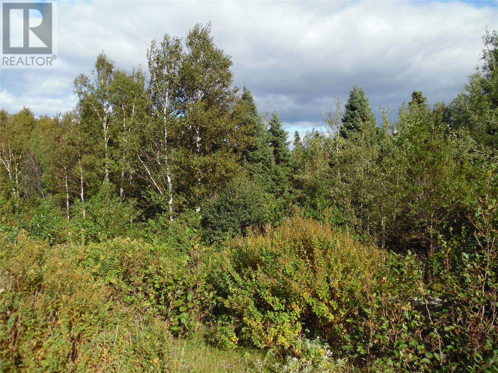 57a Legion Road, Port Blandford, Newfoundland & Labrador  A0C 2G0 - Photo 2 - 1277503
