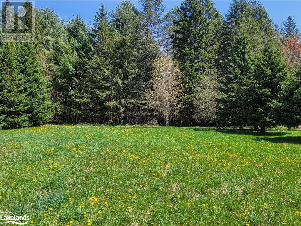 84 Covered Bridge Trail, Bracebridge, Ontario  P1L 1Y2 - Photo 6 - 40648973