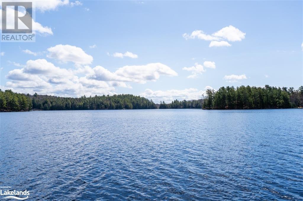 1384 Fish Hatchery Road, Utterson, Ontario  P0B 1M0 - Photo 29 - 40648163