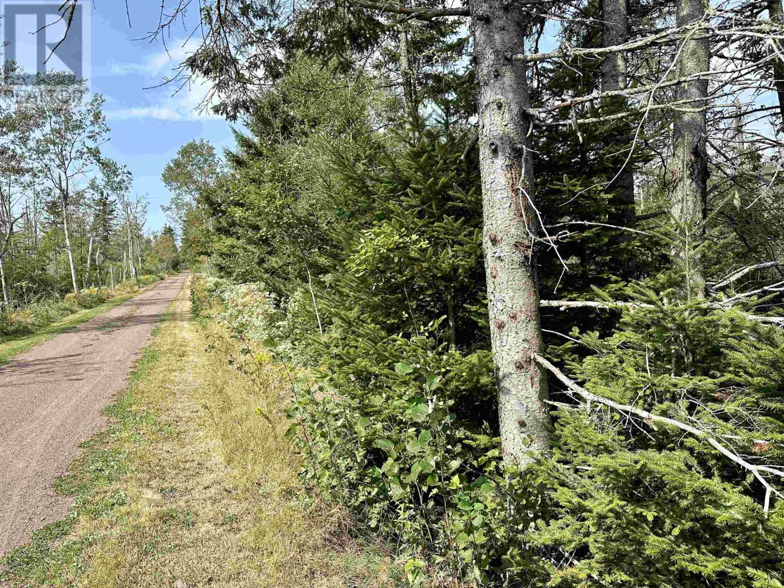 Vacant Land Cape Bear Road, Route 18, Murray Harbour, Prince Edward Island  C0A 1W0 - Photo 14 - 202422565