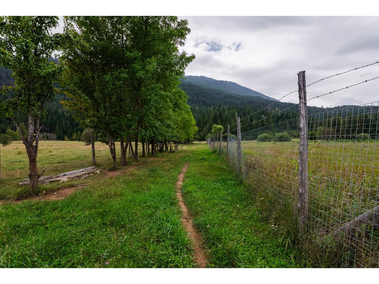 5795 Kaslo South Road, Kaslo, British Columbia  V0G 1M0 - Photo 85 - 2479626