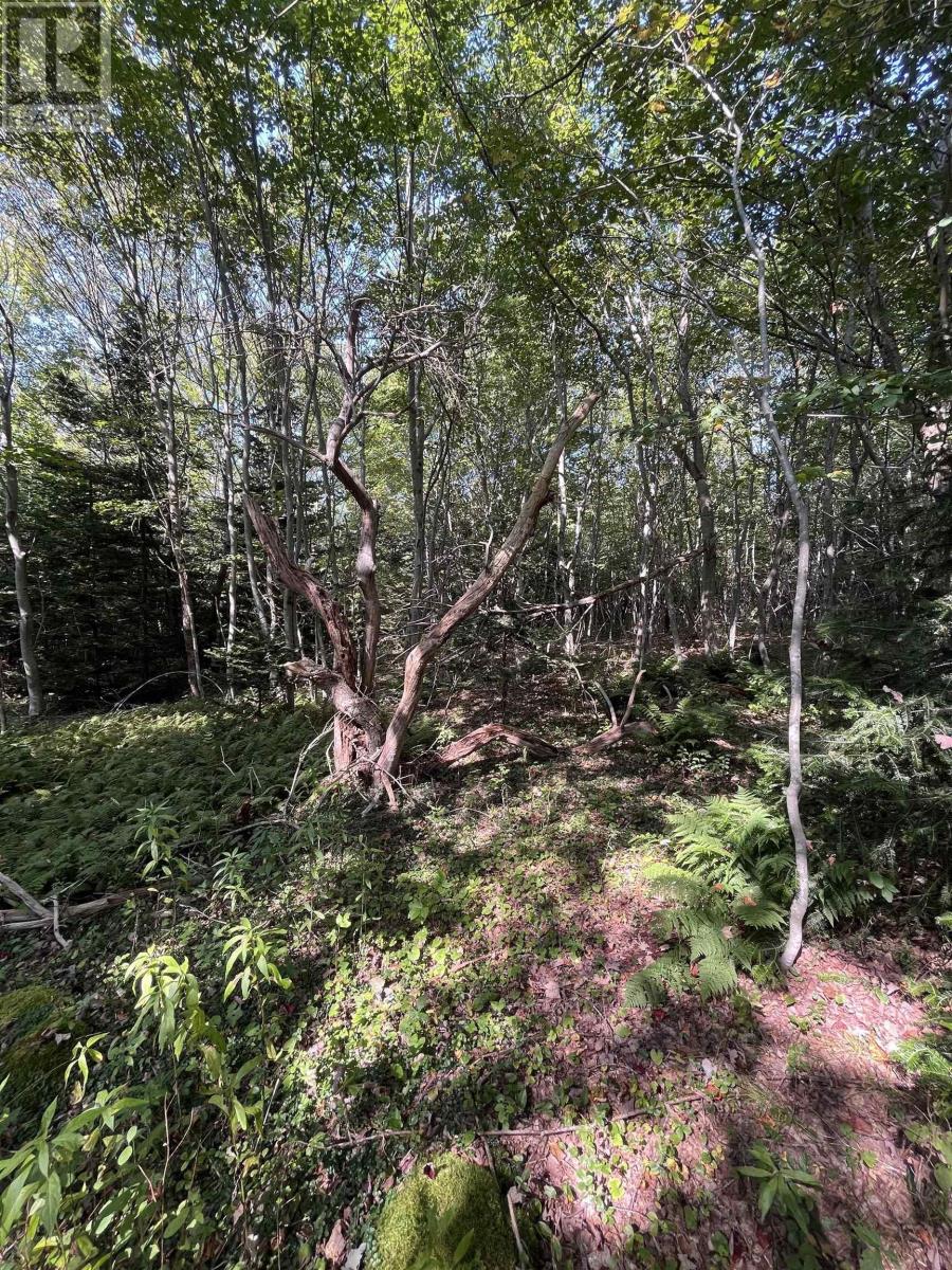 Lot 340 Highway, Hassett, Nova Scotia  B0W 3T0 - Photo 15 - 202422587