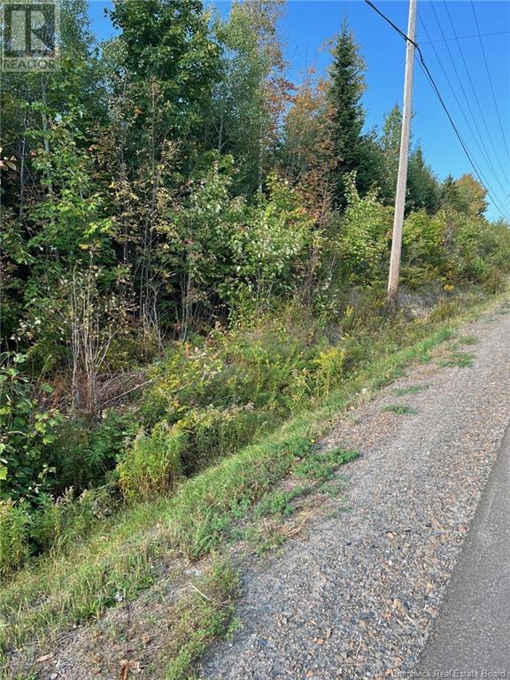 Lot 24-2 Rte 3, Harvey, New Brunswick  E6K 1T3 - Photo 7 - NB106290