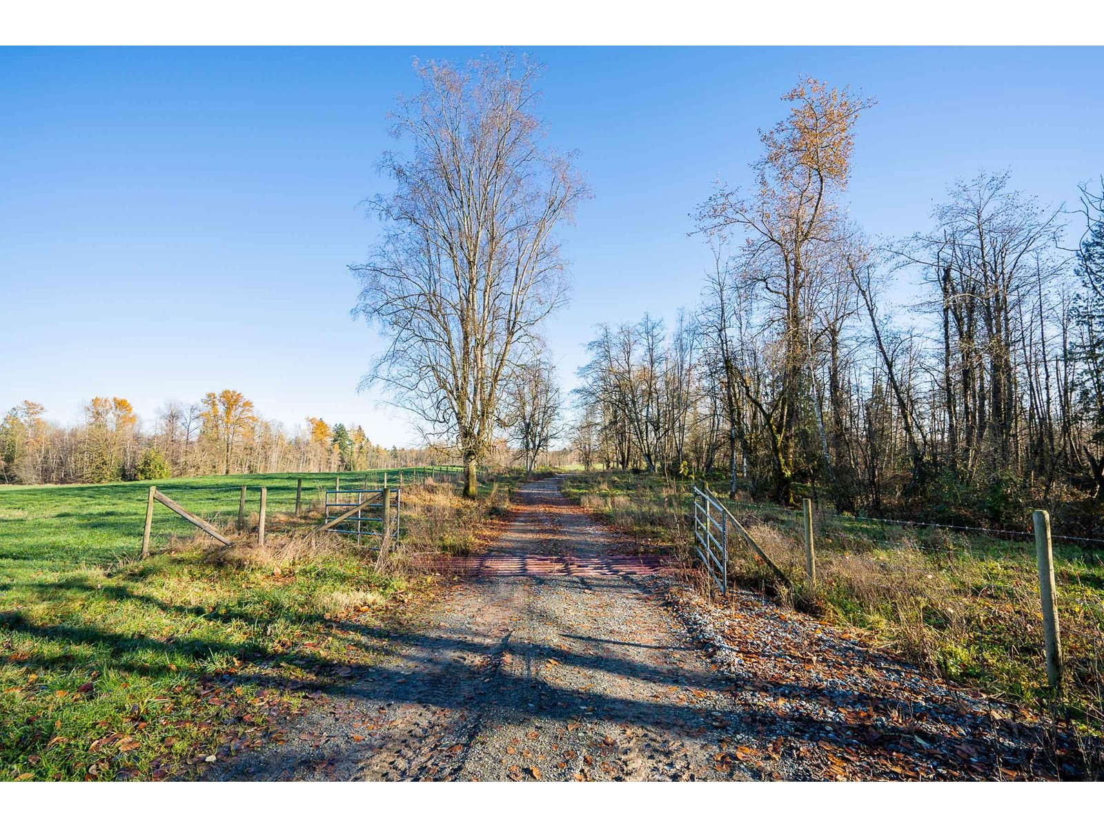 6290 272 Street, Langley, British Columbia  V4W 1S6 - Photo 13 - R2927211