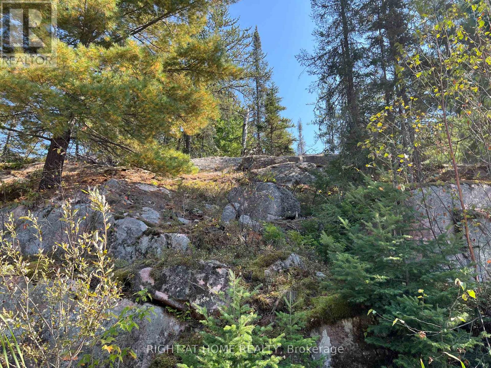 0 Laplage Road, West Nipissing, Ontario  P0H 2M0 - Photo 10 - X9356850