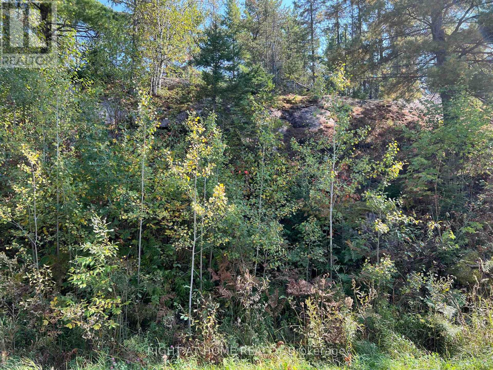 0 Laplage Road, West Nipissing, Ontario  P0H 2M0 - Photo 11 - X9356850
