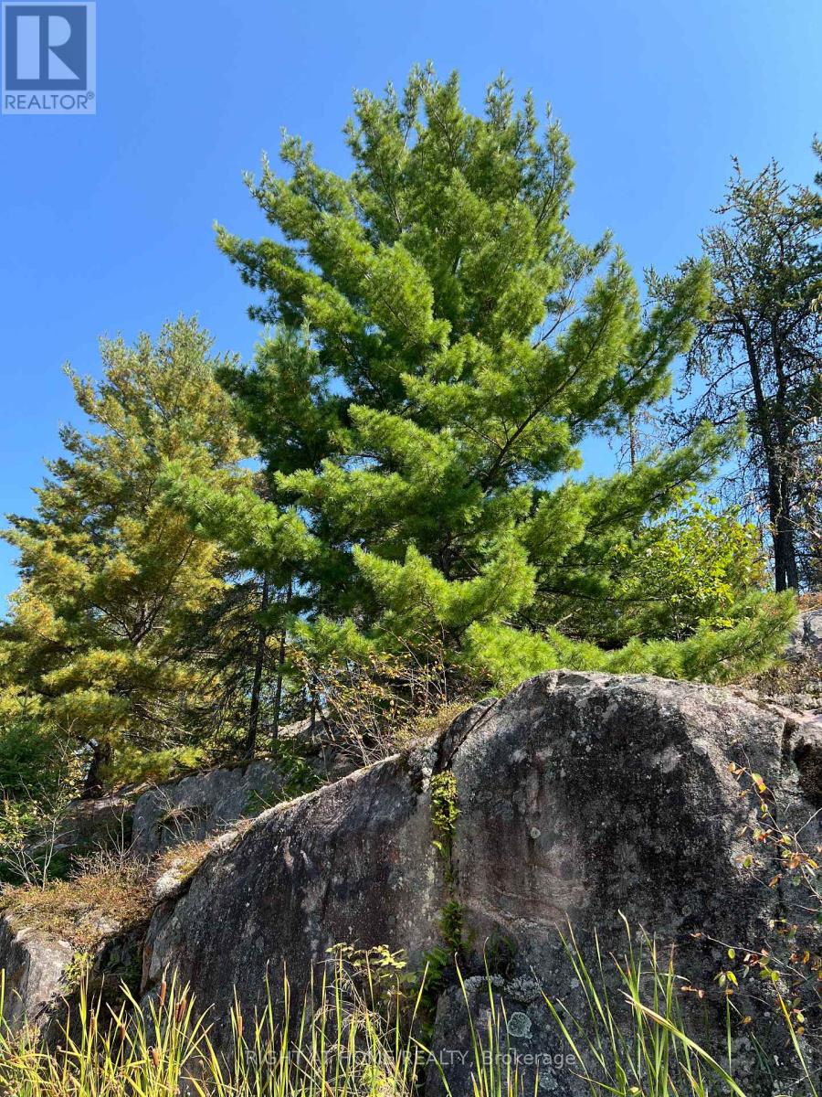 0 Laplage Road, West Nipissing, Ontario  P0H 2M0 - Photo 12 - X9356850