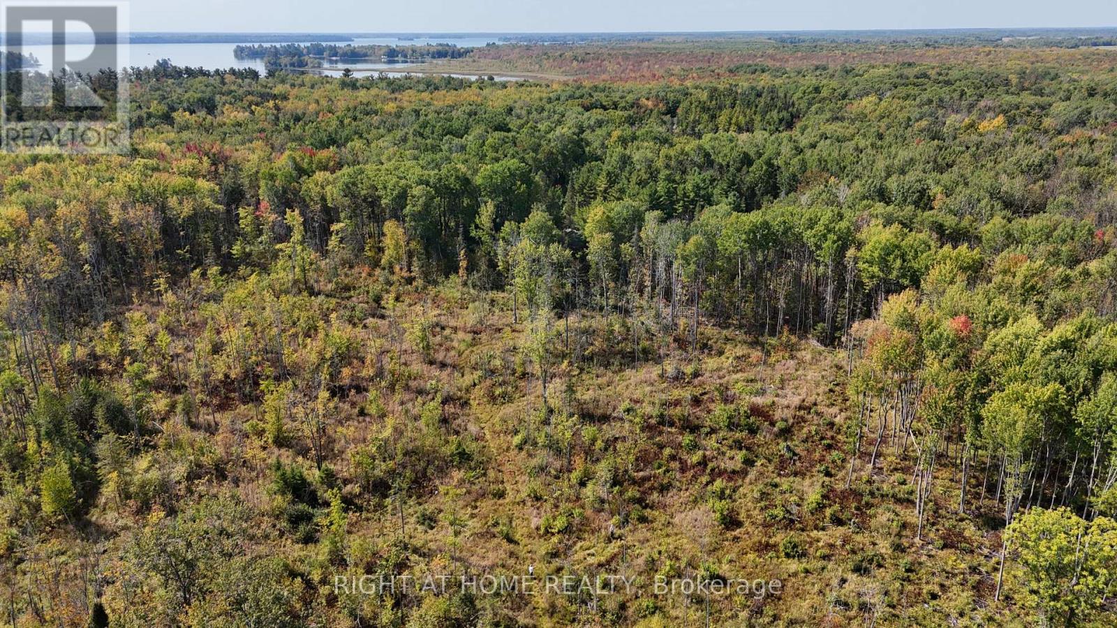 0 Laplage Road, West Nipissing, Ontario  P0H 2M0 - Photo 4 - X9356850