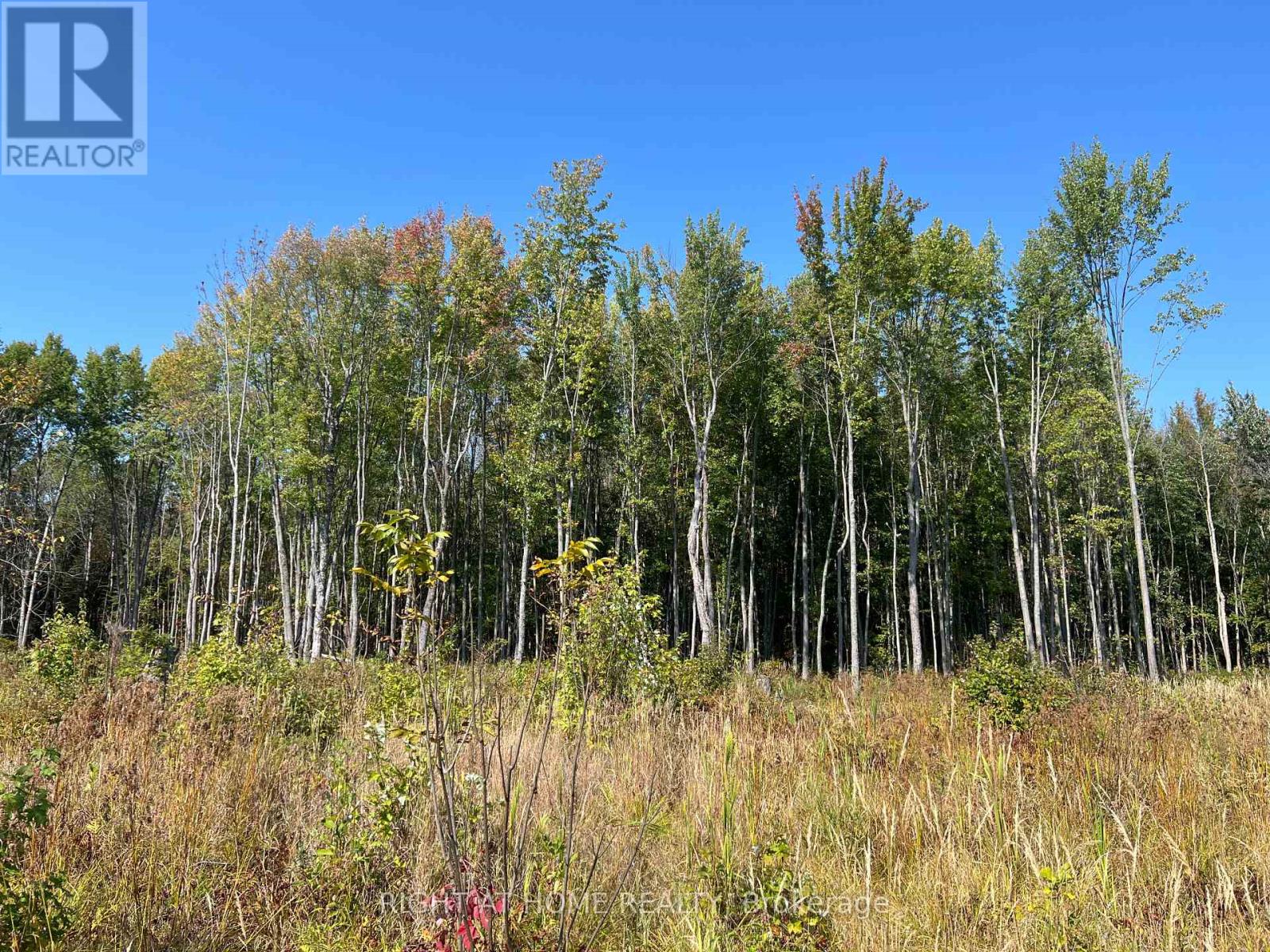 0 Laplage Road, West Nipissing, Ontario  P0H 2M0 - Photo 5 - X9356850