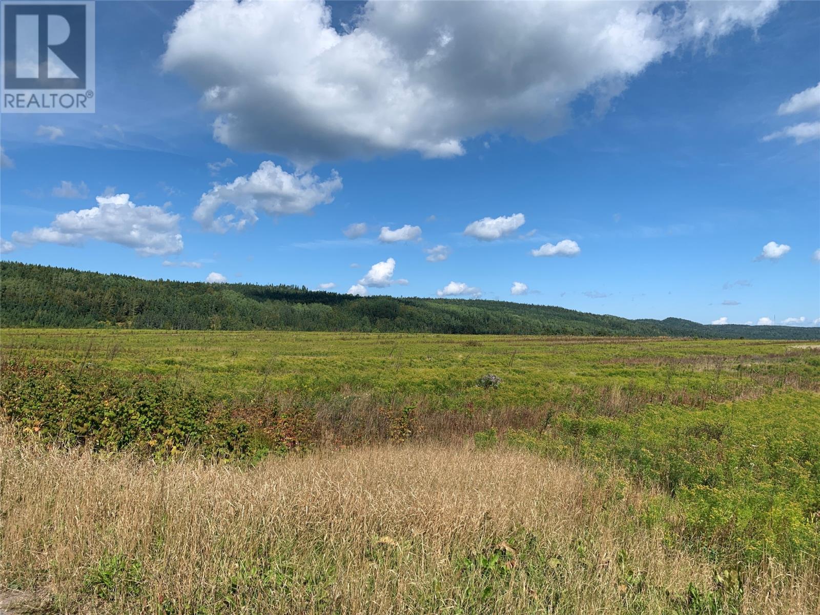 Property at 152932 Botwood Highway image 5