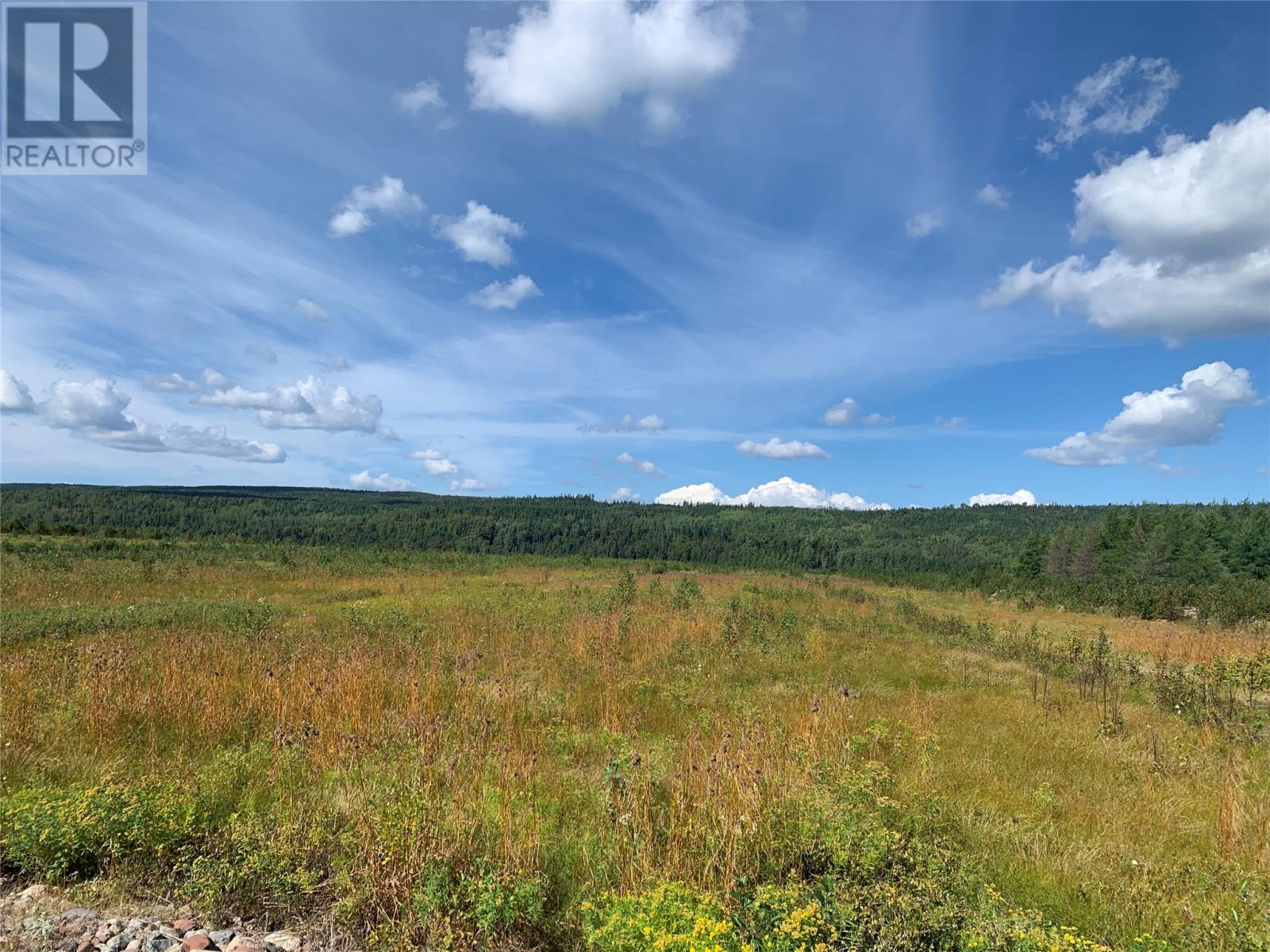 152932 Botwood Highway, Northern Arm, Newfoundland & Labrador  A0H 1E0 - Photo 5 - 1276692