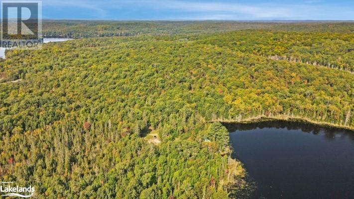 2411 Soyers Lake Road, Haliburton, Ontario  K0M 1S0 - Photo 7 - 40647975