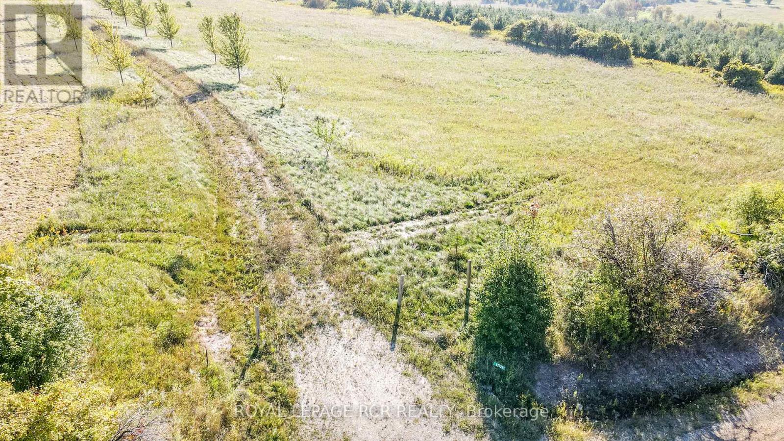 877281 5th Line E, Mulmur, Ontario  L9V 0K4 - Photo 10 - X9357285