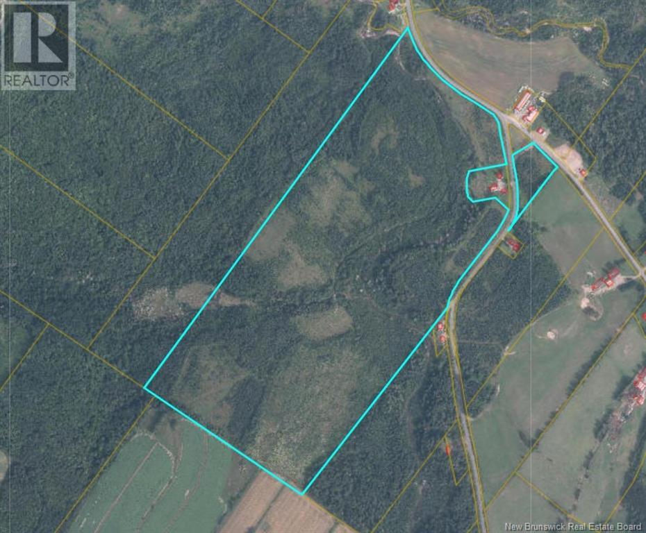 Lot King Kristian Road, New Denmark, New Brunswick  E7G 1X7 - Photo 1 - NB106319