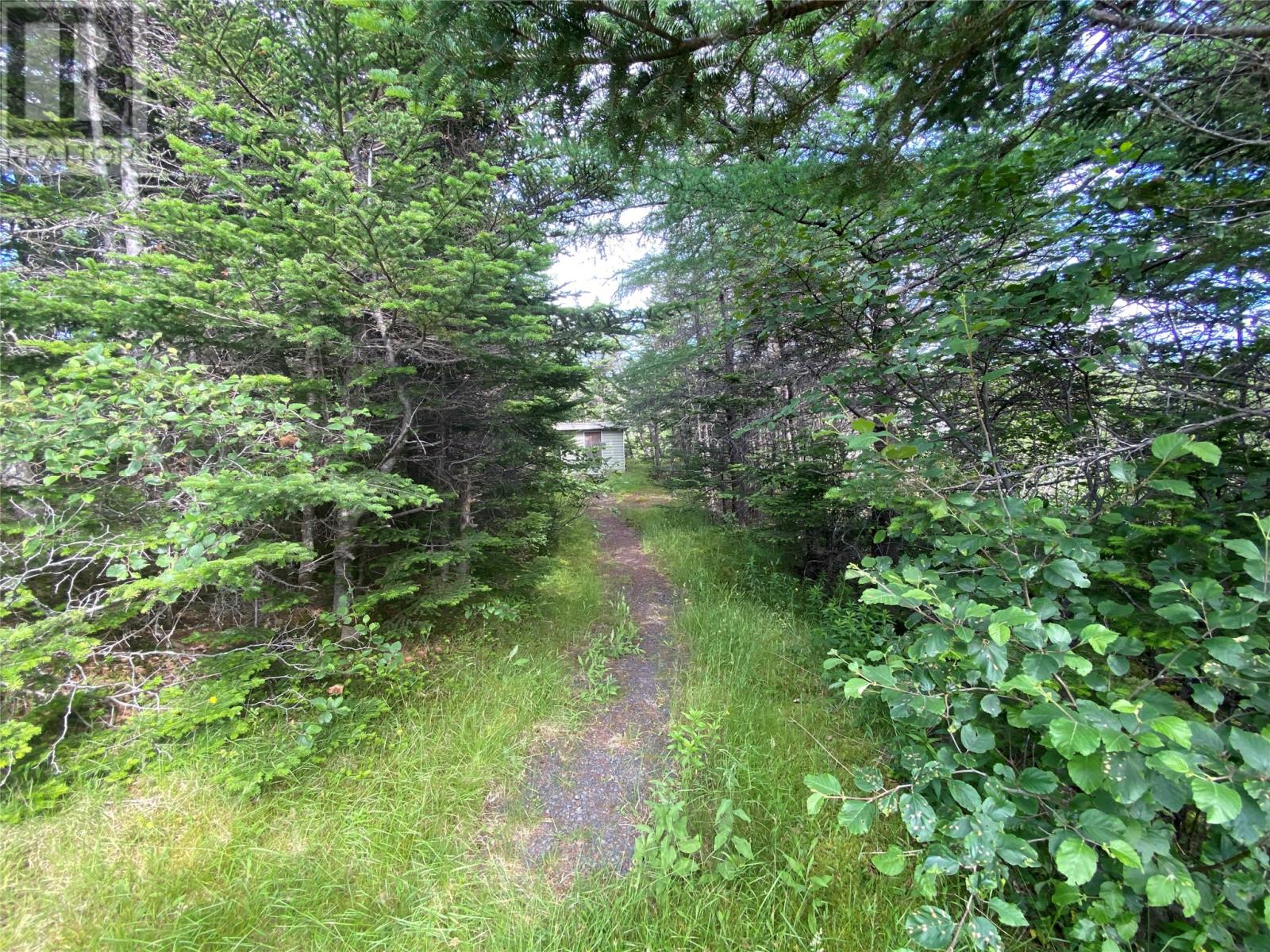 37 Old Southeast Road, Colinet, Newfoundland & Labrador  A0B 1M0 - Photo 28 - 1276148