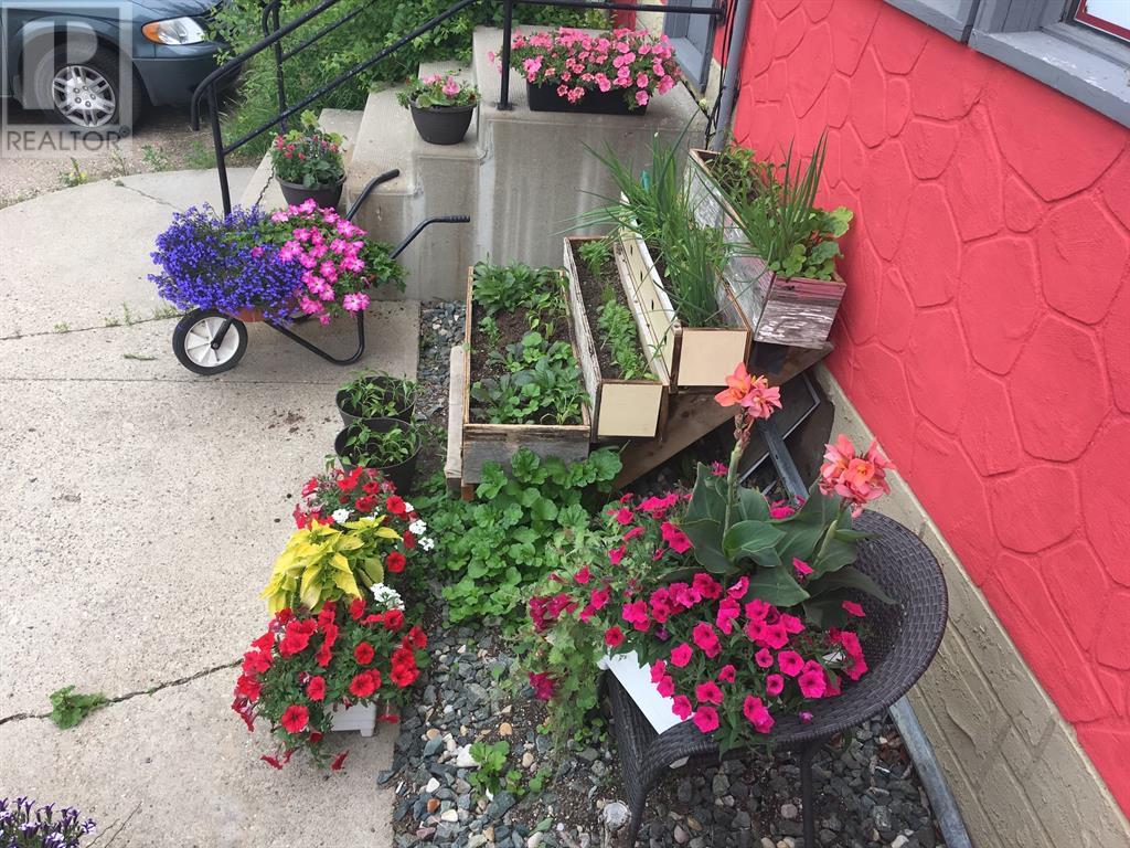 5007 49 Street, Irma, Alberta  T0B 2H0 - Photo 3 - A2074258