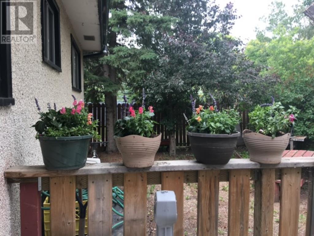 5007 49 Street, Irma, Alberta  T0B 2H0 - Photo 25 - A2074258