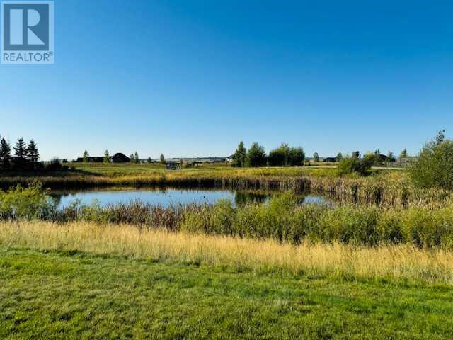 32 Drake Landing Grove, Okotoks, Alberta  T1S 0P6 - Photo 39 - A2165375