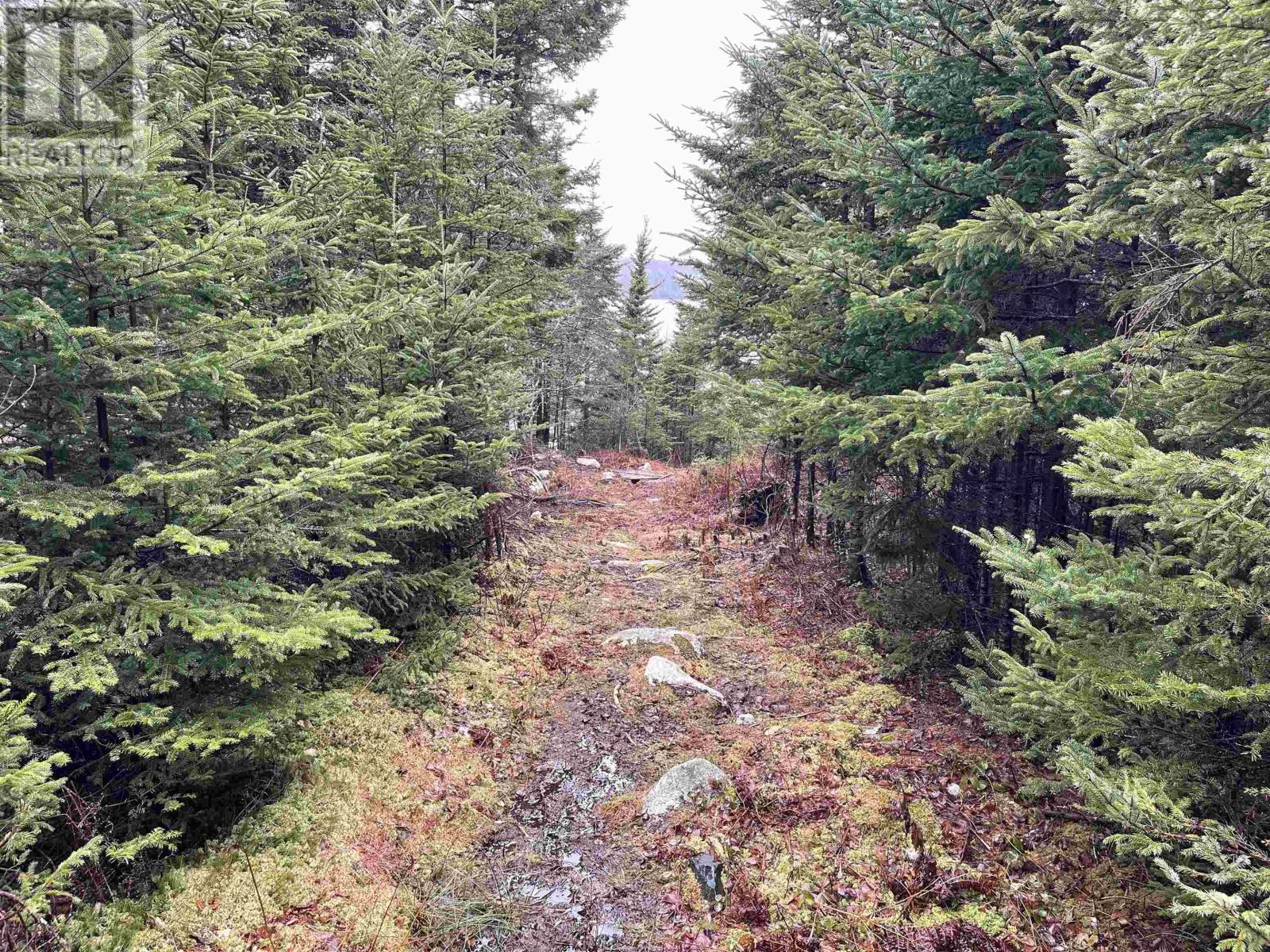 Lot 1 Cannon Rock Lane, Shad Bay, Nova Scotia  B3T 2H3 - Photo 19 - 202422698